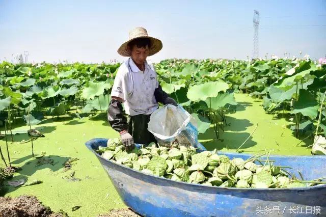 7月22日早安武汉︱湖北高招一本录取信息今日可查询；孩子们最爱的戏曲夏令营又能报名了
