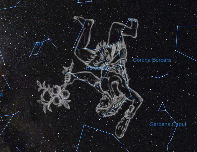 武仙座——一个英雄的神话故事