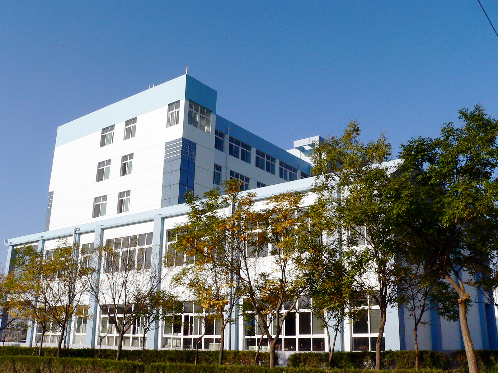 甘肃省49所高校，谁家成立早、谁家校徽设计好，一目了然