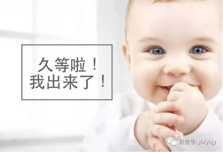 出生证明怎么开,出生证明怎么开,在哪办