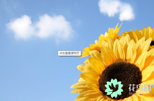 太阳花的象征意义有哪些，太阳花的花语介绍？
