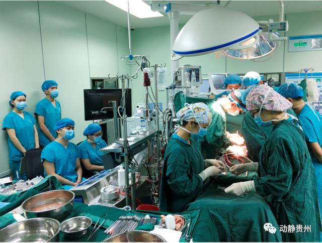 厉害！看妙手仁心 半年为4个人换了4颗心