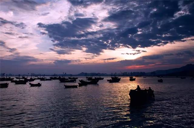 美出天际丨日落之后的西海岸夜色可媲美上海外滩！