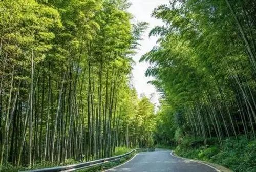 1小时到成都，2小时到贵阳……下半年重庆交通开“挂”了！