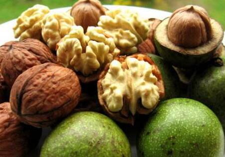 核桃,原产于近东地区,又称胡桃,羌桃,与扁桃,腰果,榛子并称为世界著名