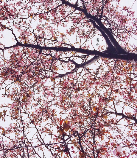 广播精选｜梦见参加高考，教育局做活动