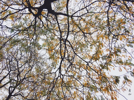 广播精选｜梦见参加高考，教育局做活动