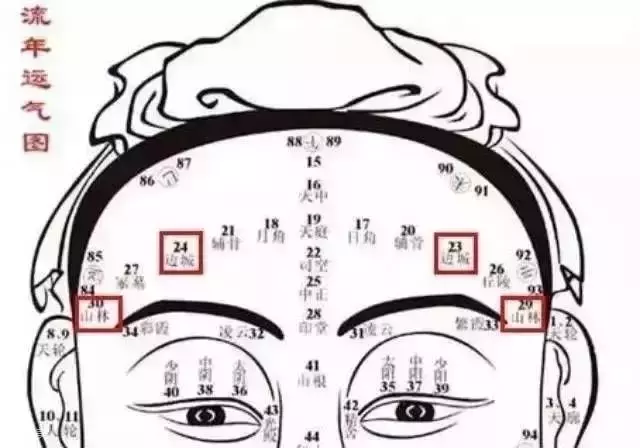 八字面相风水额头也是面相上庭的位置,代表的是年轻时候20-30岁的运气