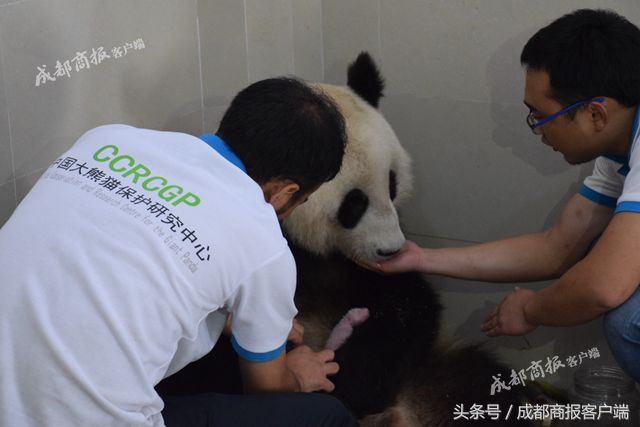 早点新闻｜四川男子挟持儿女驾车跳江自杀，因复婚被拒/眉山女子被骗600万，58名嫌犯押解回蓉