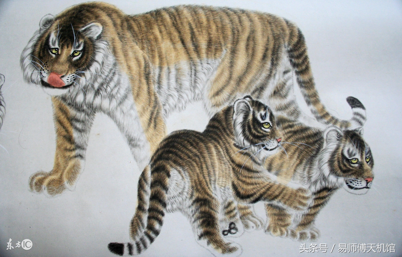 属虎人开运和改运方法