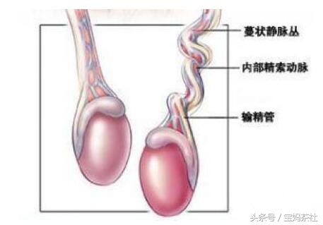 宝宝从幼儿园回来后，蛋蛋发红家人这样处理，最终酿成大祸