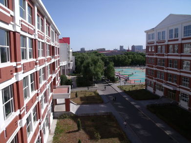 让马丁张雪峰互怼去吧，我们去齐齐哈尔大学看看