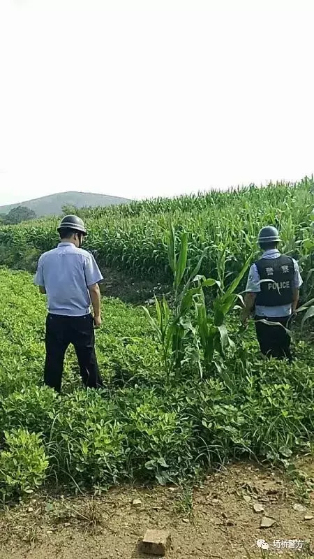 宿州警方悬赏10万缉拿的嫌犯被证实畏罪跳楼自杀！