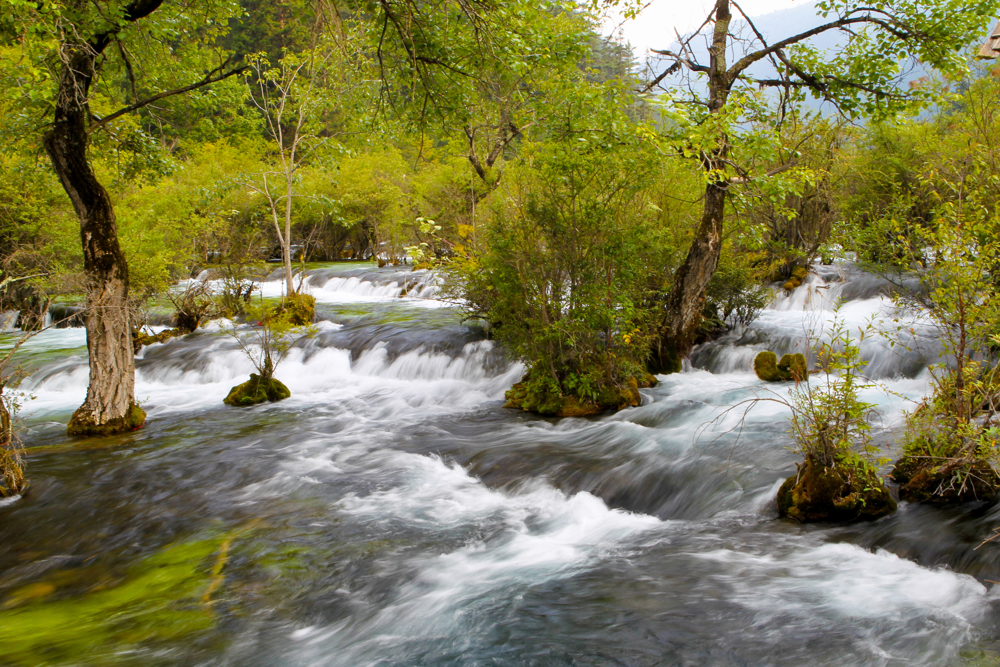 四十张高清大图带您走进地震前的童话世界九寨沟