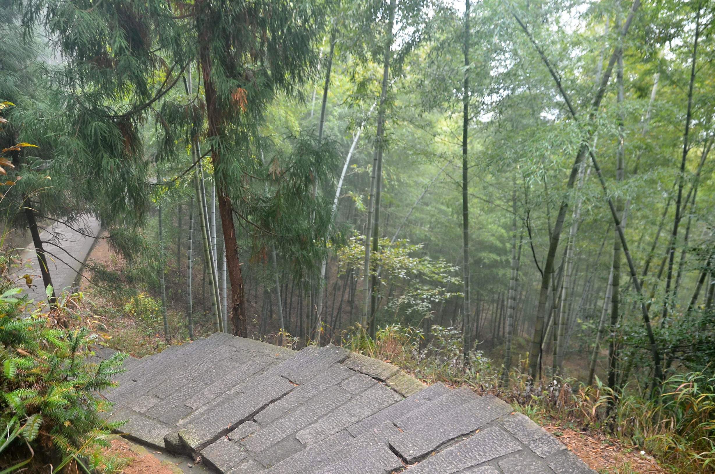 集北山之雄伟、南方之秀丽的天柱山