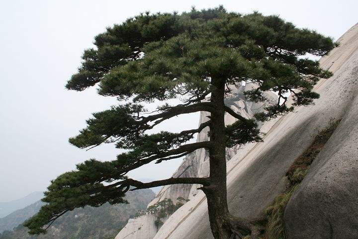 集北山之雄伟、南方之秀丽的天柱山