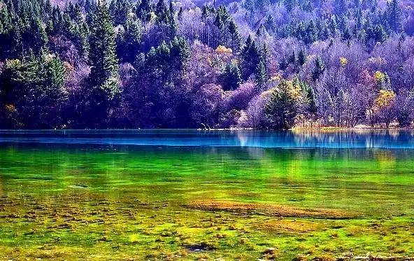 美文美图-酒泉子|九寨沟印象