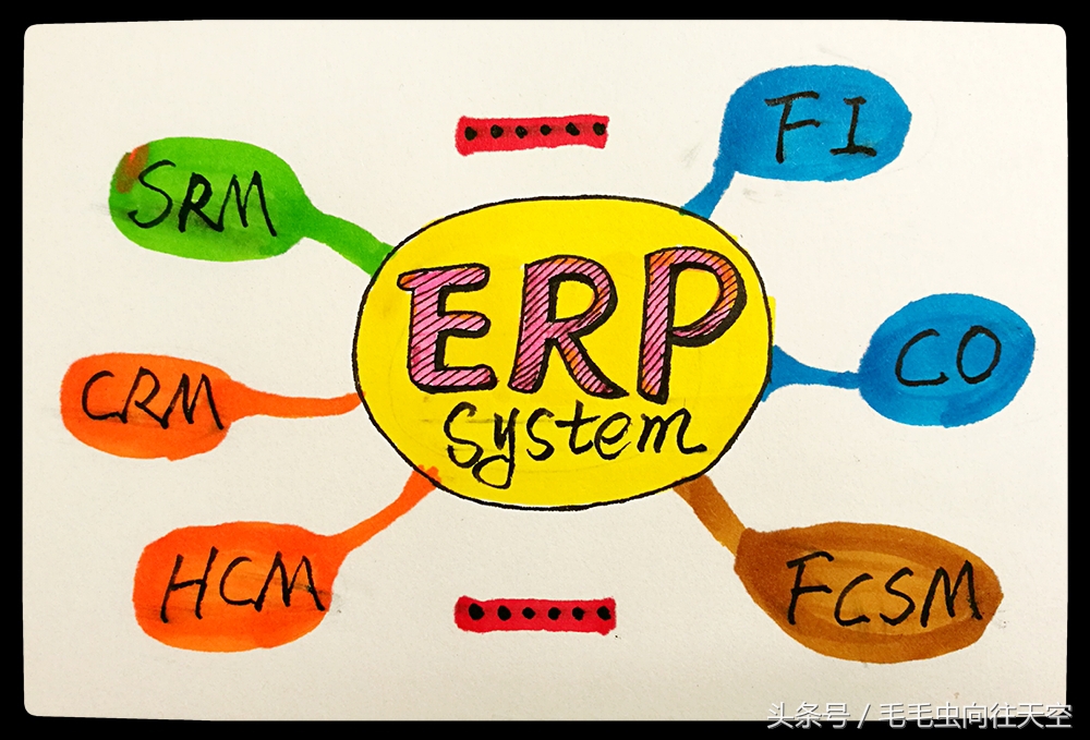 ERP项目——项目的5种类型