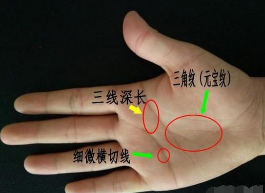 这几种手相的人,生来就是好命,富贵有钱更不缺佳丽