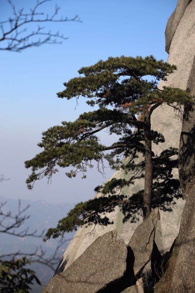 集北山之雄伟、南方之秀丽的天柱山