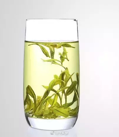 三分钟带你了解中国的“十大名茶”