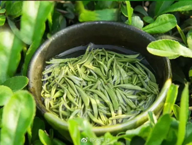 三分钟带你了解中国的“十大名茶”