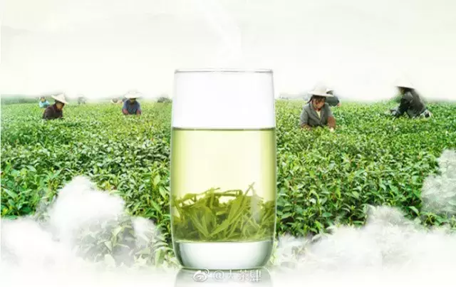 三分钟带你了解中国的“十大名茶”