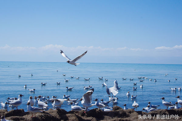 不同的四季去青海湖，都会看到什么样的风景？