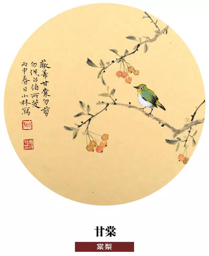 《诗经》里那些美丽的植物