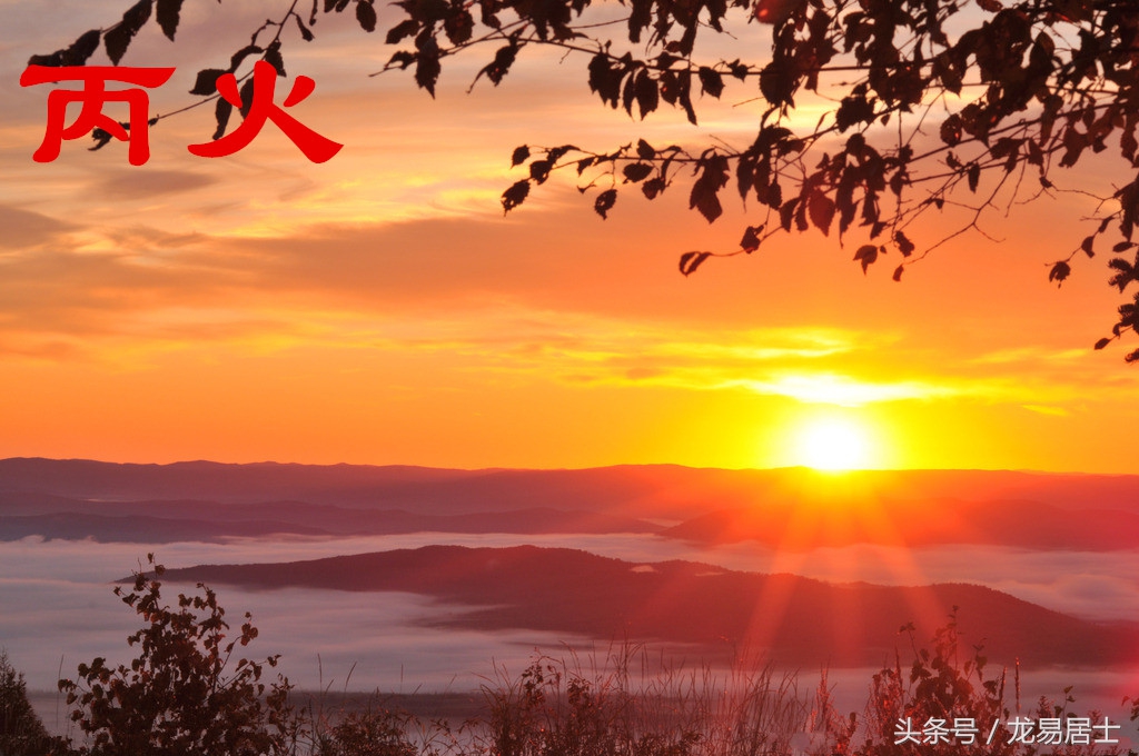 龙易居士教你自学命理基础知识(天干地支篇)-丙火