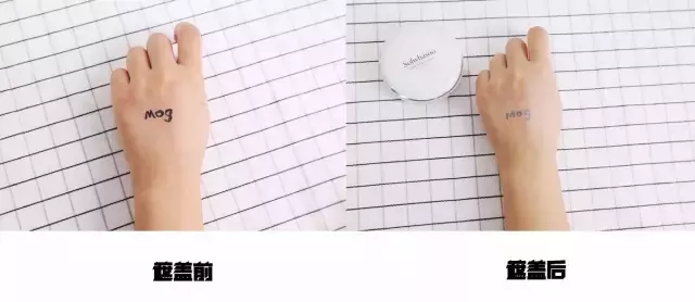 我手上的8款气垫大测评,看看最好用的是谁?