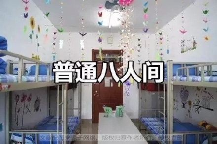 大学生寝室全版本集合，中西宿舍对比，莫名戳中笑点！