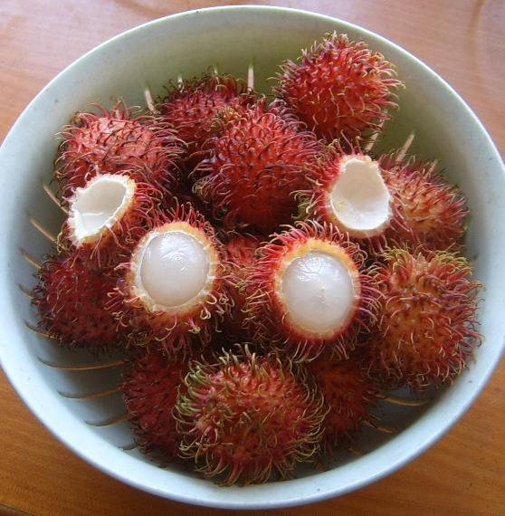 水果毛丹价格五指山树上结的