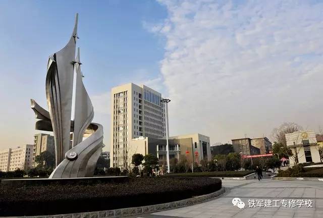 一年拿自考本科学历+（IPMA）证书