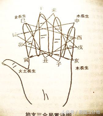 八字地支之象蕴藏的秘密