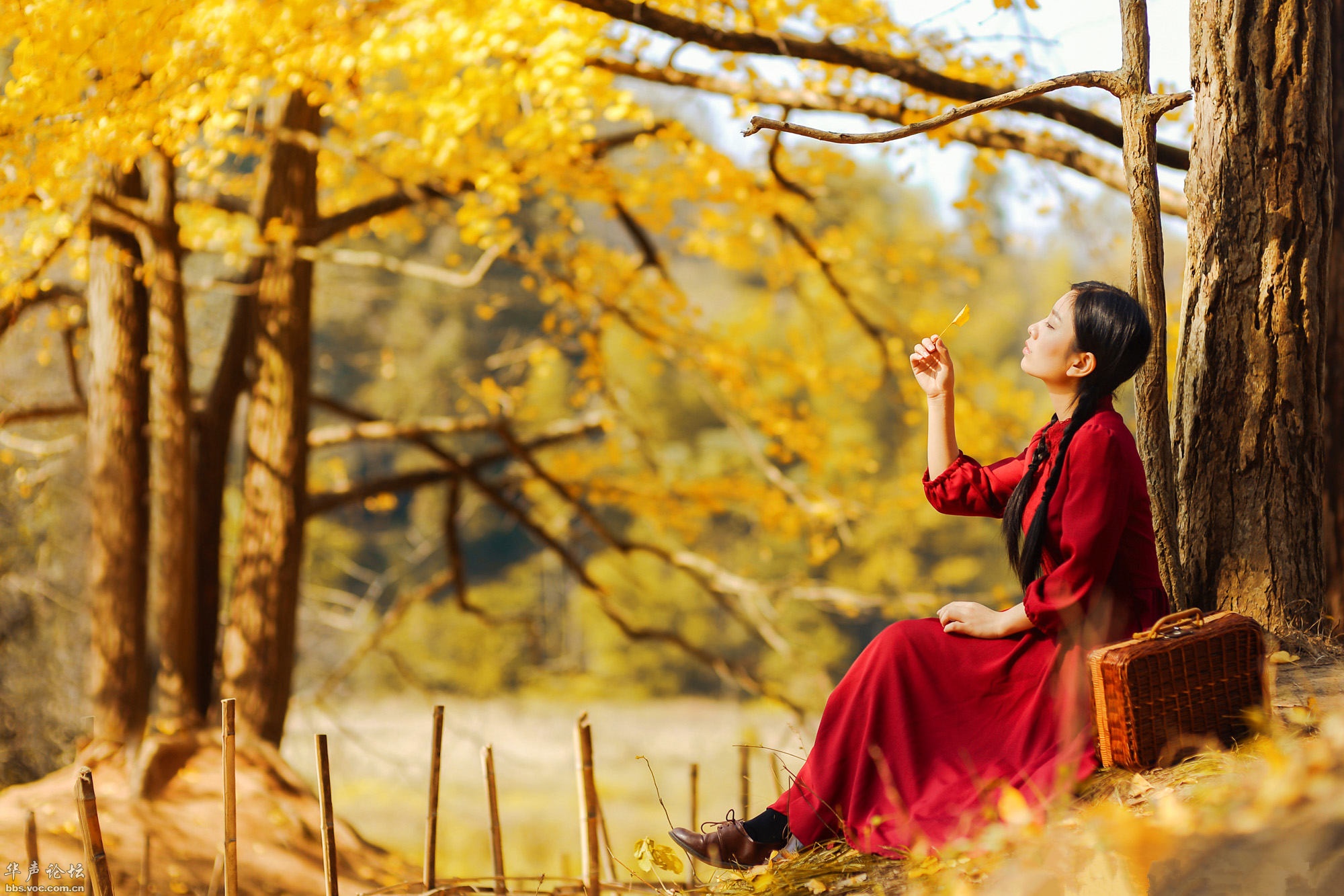 意境悠远,情思缠绵,这五首七绝古诗很有李商隐遗风
