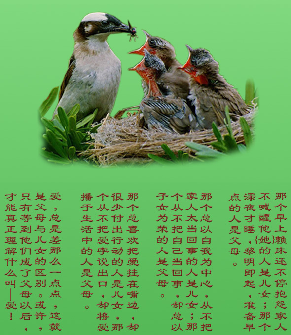 没想到"可怜天下父母心"是一句诗,而看到作者我们更是惊诧不已