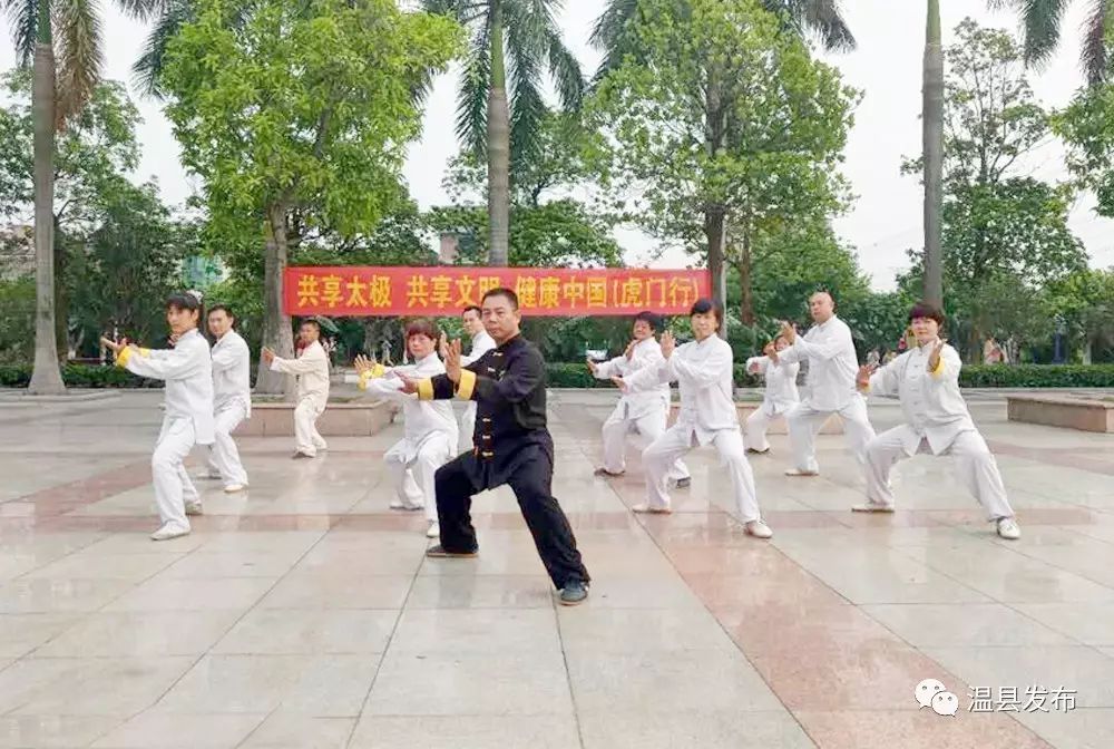 陈照森(陈照森：太极家国一份子，数万弟子展英姿)