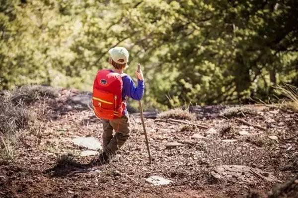 爬树自拍走路，海外名校这些“奇葩”课让孩子疯狂爱学习