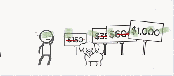 2017杜克最热门的十大专业指南，你选对了吗？