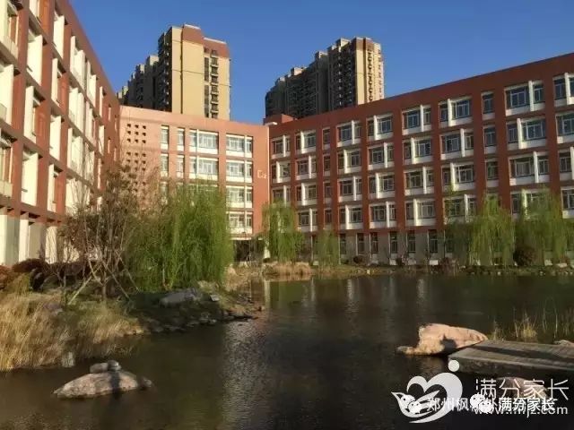 枫杨外国语——这所被家长挤破门槛的学校，到底有什么独特魅力？