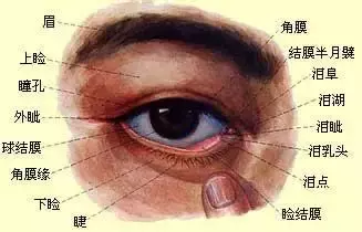 左眼跳财，右眼跳灾？你的眼皮跳其实是因为你的身体