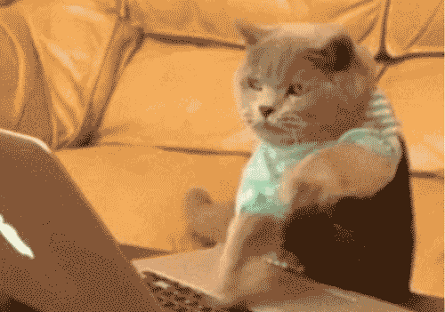 2017杜克最热门的十大专业指南，你选对了吗？