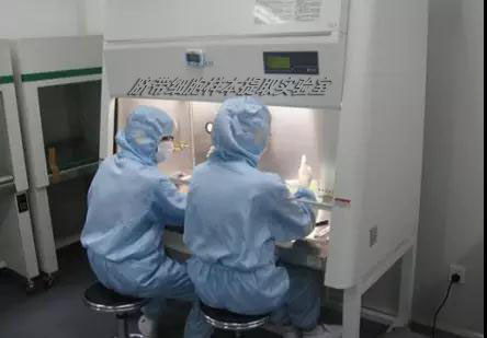 「健康新闻」我国1500万患者心力衰竭有望被脐带间充质干细胞治愈