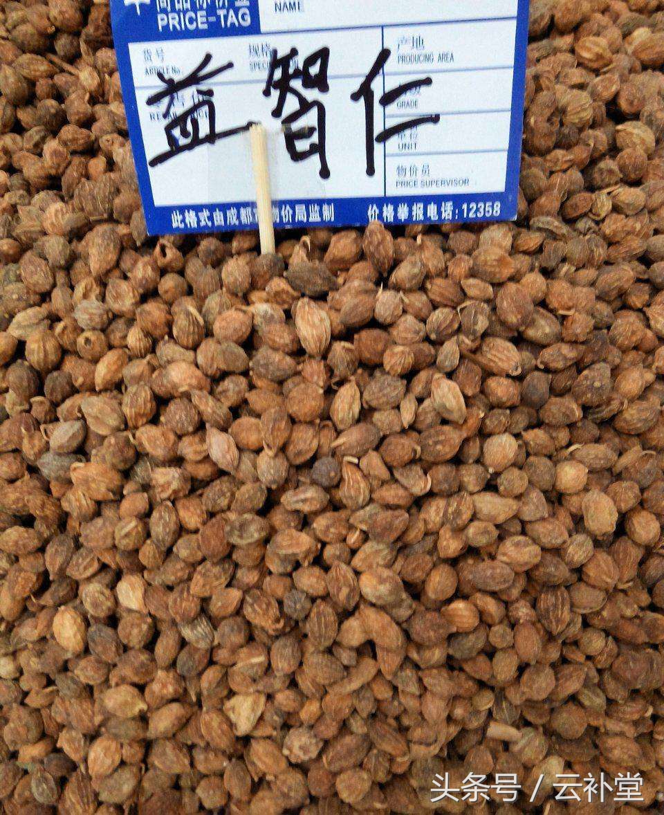 盐益智仁的功效与作用(补阳药) - 行就行