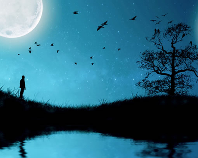 夜幕低垂，星河璀璨，静谧如诗