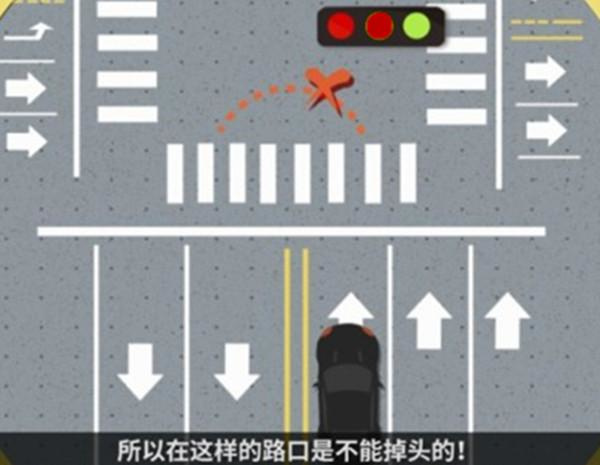 斑马线上可以左转掉头吗？你算一个老司机吗，不一定哦！