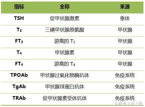 甲状腺彩超可发现哪些信息？甲状腺疾病患者需多久做一次检查？