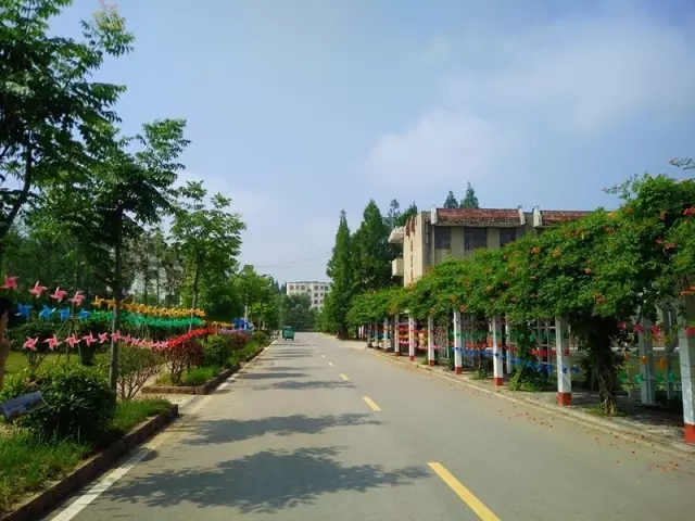 你知道读中专也可以上省内一流大学吗