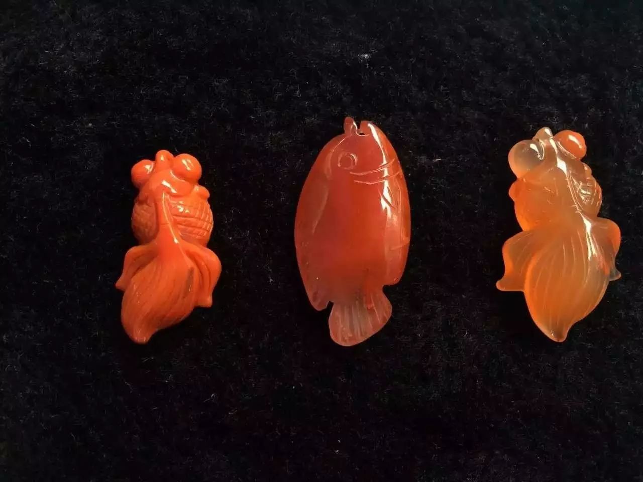 鱼的感悟，鱼与爱情是“鲭”，鱼与思念是“鲶”，鱼与自由是“鮋